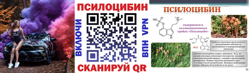 Псилоцибиновые грибы ЛСД  ссылка на мегу ссылки  Черемхово  где можно купить наркотик 